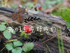 景点-燕子沟风景区