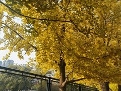 -辽宁大学(崇山校区)