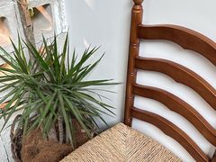 -自由生长植物工作室(深港花卉中心店)