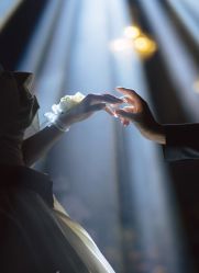 -Sunny喜铺婚礼定制·求婚策划