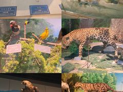 -重庆中国三峡博物馆(重庆博物馆)