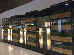 门面-潮堂(环球金融中心店)