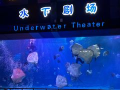 -泉城欧乐堡海洋极地世界