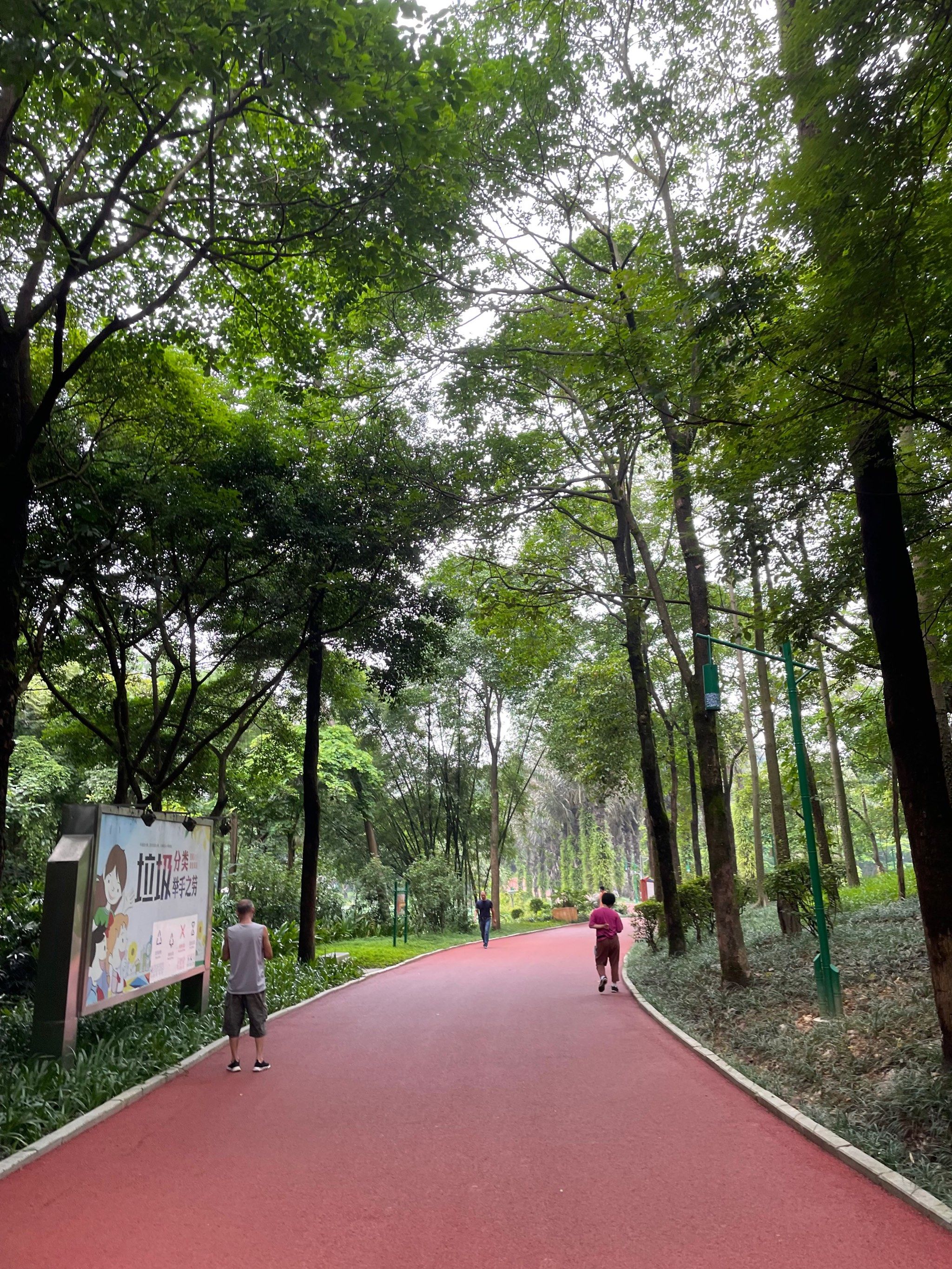 清晨公园跑步时光