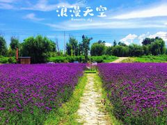 -大理洱海