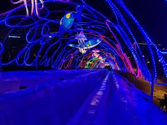 -沈阳奥体冰雪嘉年华