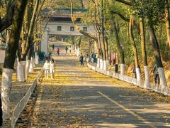 -岳麓山风景名胜区