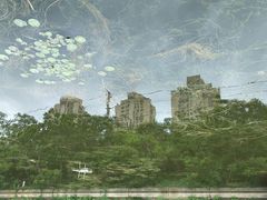 -前关湿地公园