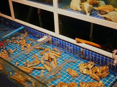 水产区-金龙·打边炉(南京西路店)