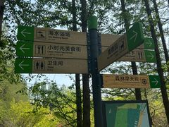 -日照海滨国家森林公园
