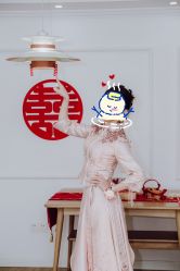 -艾米丽婚纱礼服