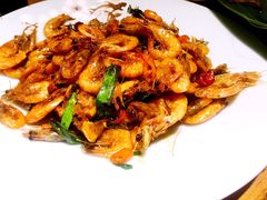 -茶花妹子云南餐厅(北大店)