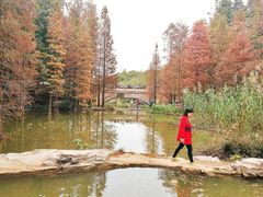 -云溪植物园