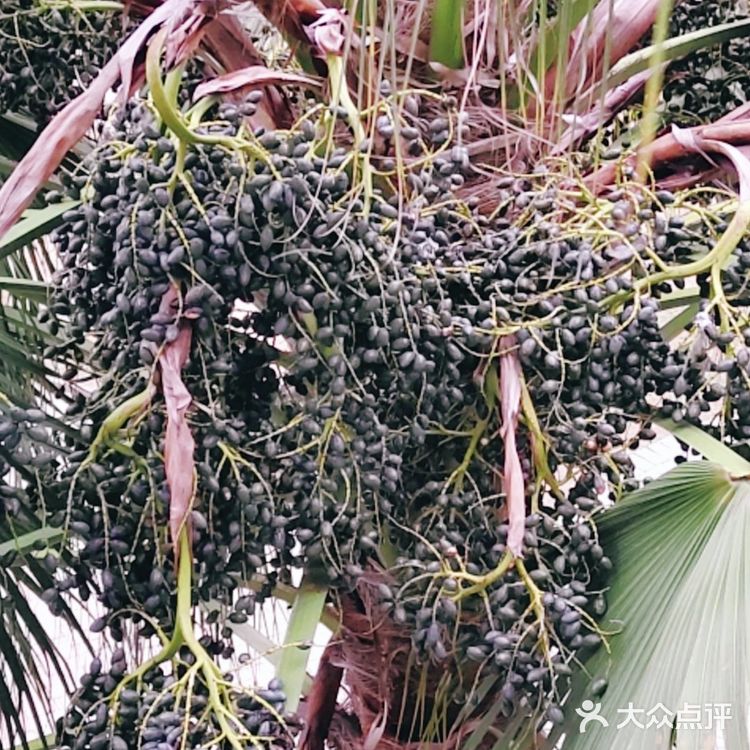 行云流水… 能够给人无尽的遐想和思念