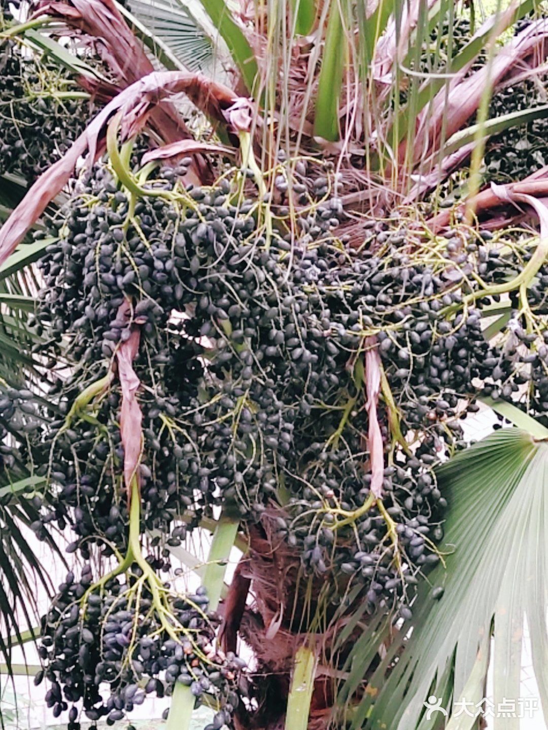 行云流水… 能够给人无尽的遐想和思念