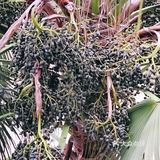 行云流水… 能够给人无尽的遐想和思念