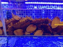 -纯味斑鱼府(中海环宇荟店)