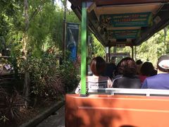 -新加坡飞禽公园
