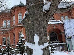 -北海道厅旧本厅舍(旧本庁舎)