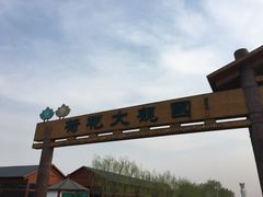 -白洋淀景区
