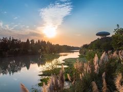 -西溪国家湿地公园