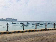 -北海金海湾红树林生态旅游区