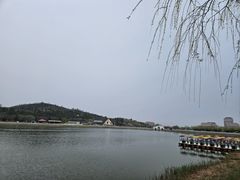 -大港湿地公园