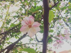 -金牛山大酒店(南北湖风景区店)