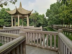-上海佘山国家森林公园东门地面停车场