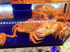 -蟹道乐(網元別館店)