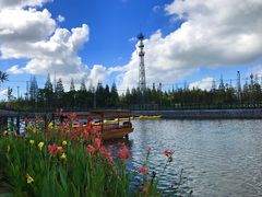 -上海长兴岛郊野公园