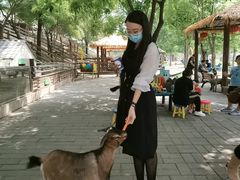 -北京鹿世界主题园
