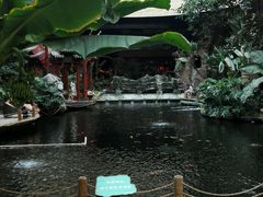 -顺景温泉