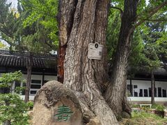 -苏州文庙(姑苏区)
