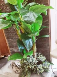 -芳朵美容养生SPA