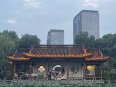 -武汉园博园(武汉自然博物馆)