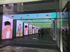 -乐天免税店(明洞店)