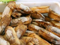 -老福州闽菜馆(温泉路店)