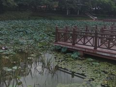 -南宁南湖公园