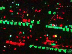 -梦之蓝青奥体育公园体育馆