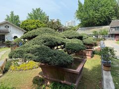 -水绘园
