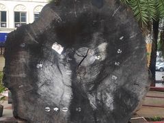 -海口骑楼小吃街