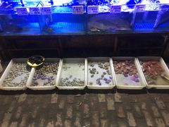 水产区-天伦海鲜·老味道·青岛菜(栈桥天主教堂店)