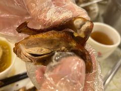 -百利鸽王(紫薇路店)
