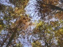 -太湖湖滨国家湿地公园-停车场