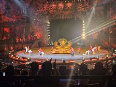 -广州长隆国际大马戏