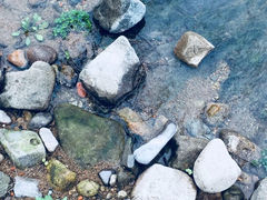 -衢州大荫山丛林飞越探险乐园