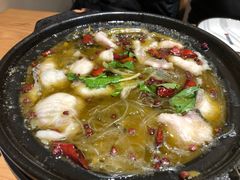藤椒鲢鱼片-陶德砂锅居(育才路店)