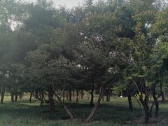-东升文体公园