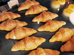 -Wagas沃歌斯(浦东机场店)